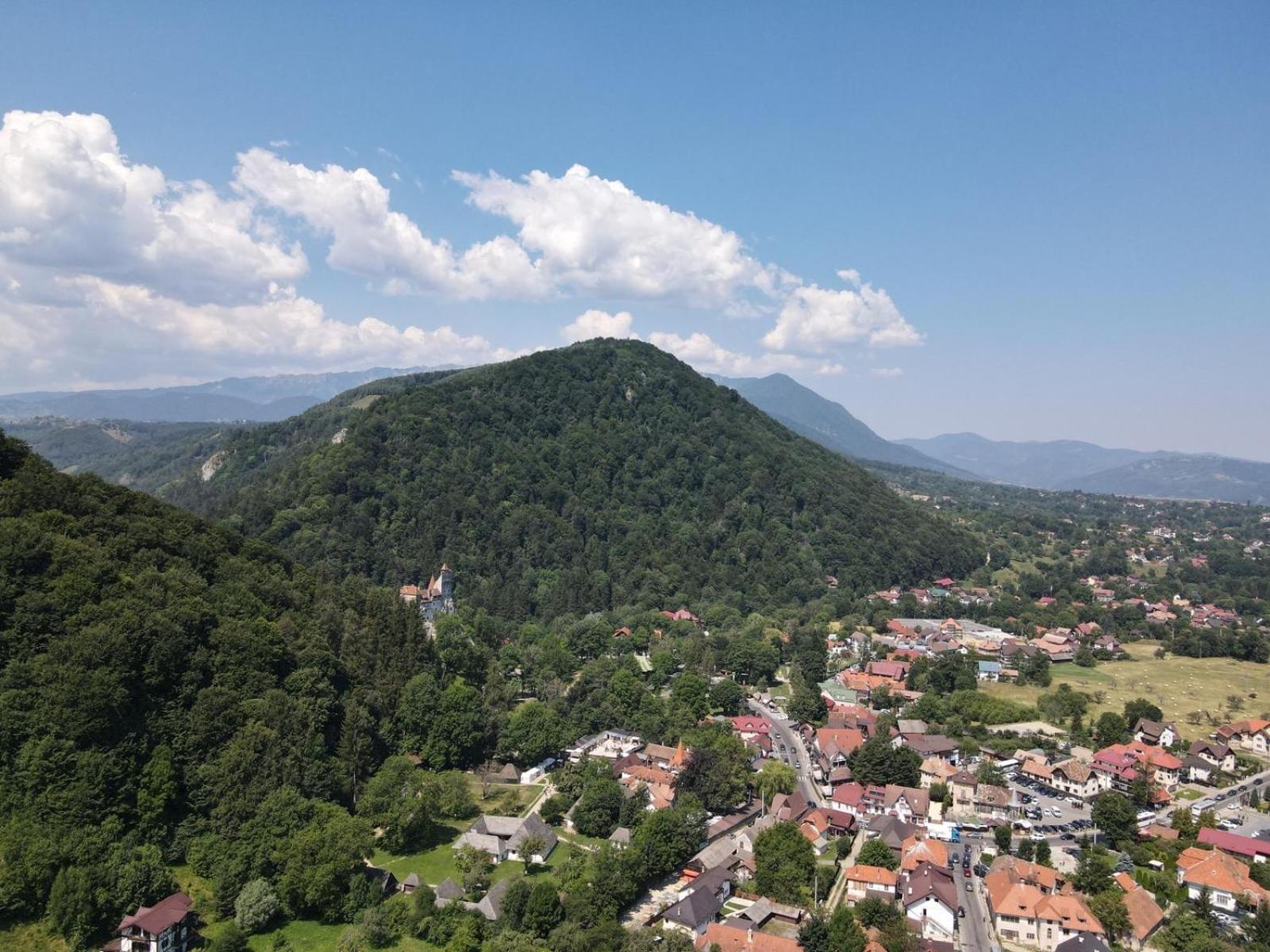 Pensiunea Casa Beatrice Bran Bran  Dış mekan fotoğraf